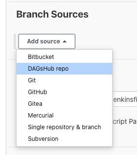 DagsHub branch source