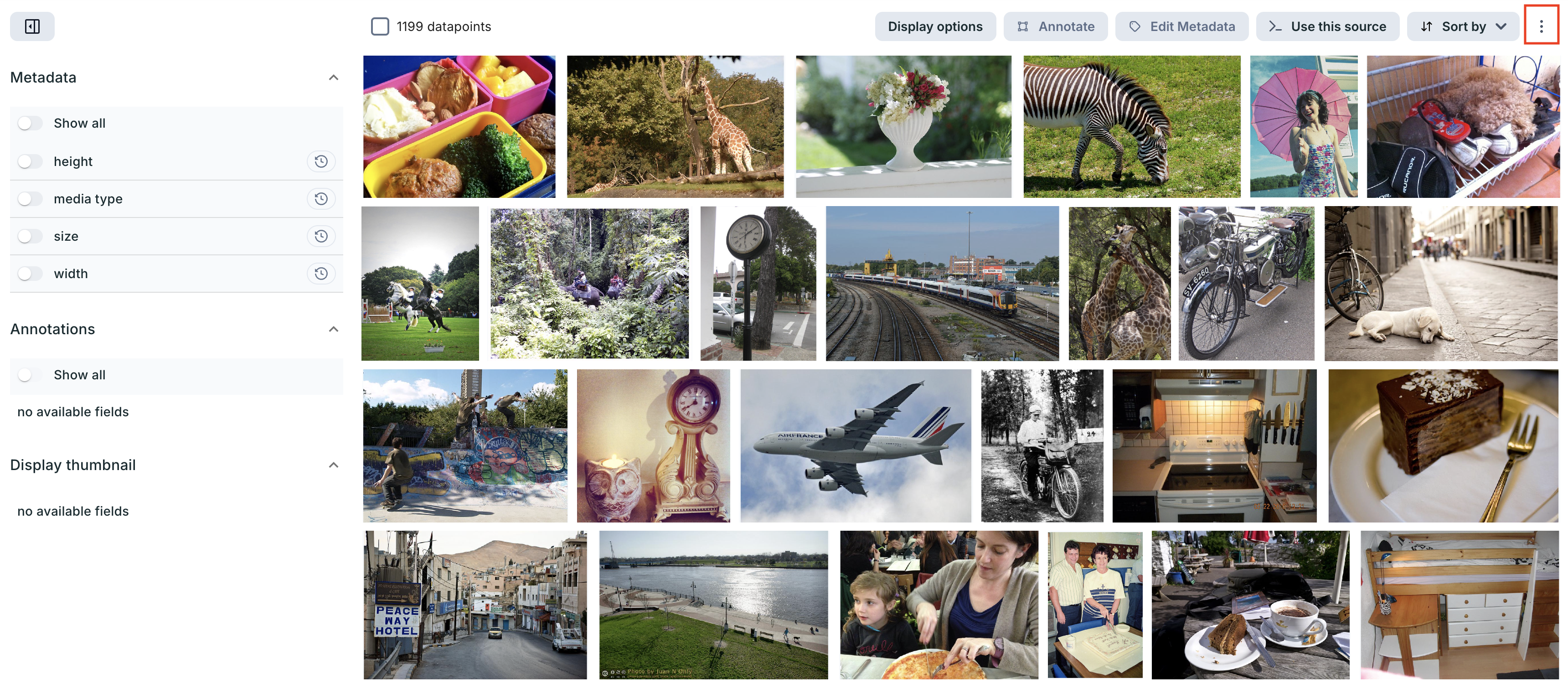 Accessing Metadata Options